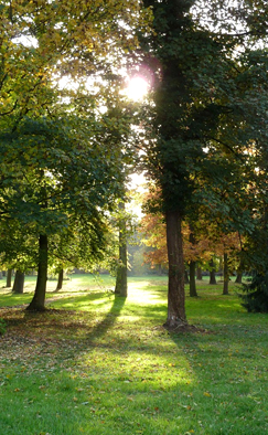 Parc boisé du Château de Limont