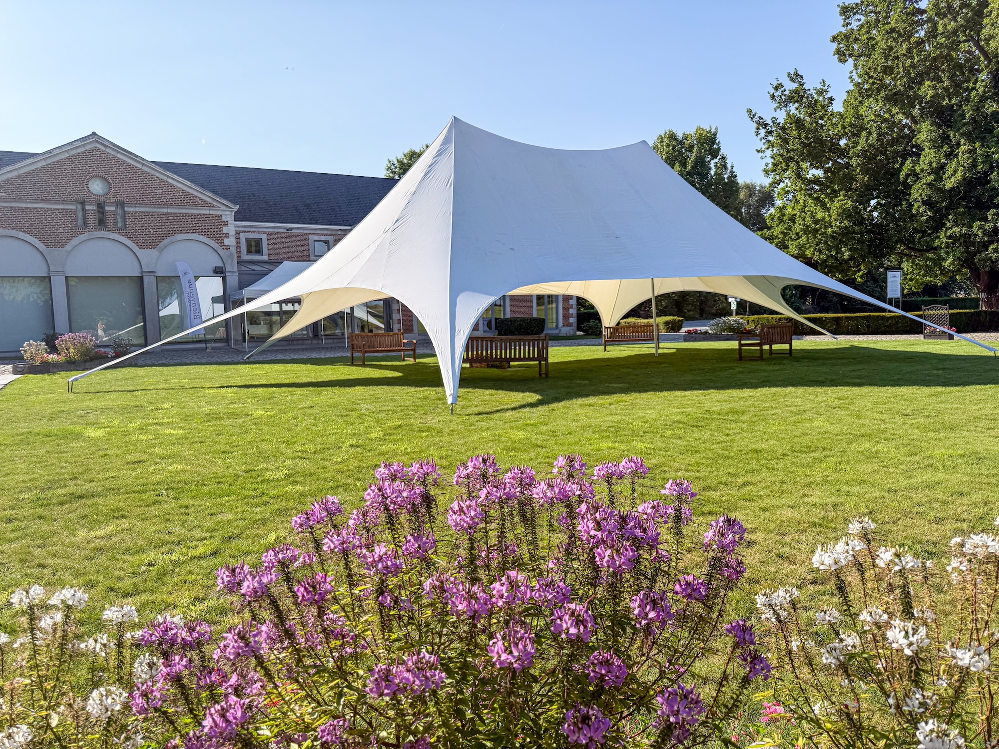 Illustration de la section